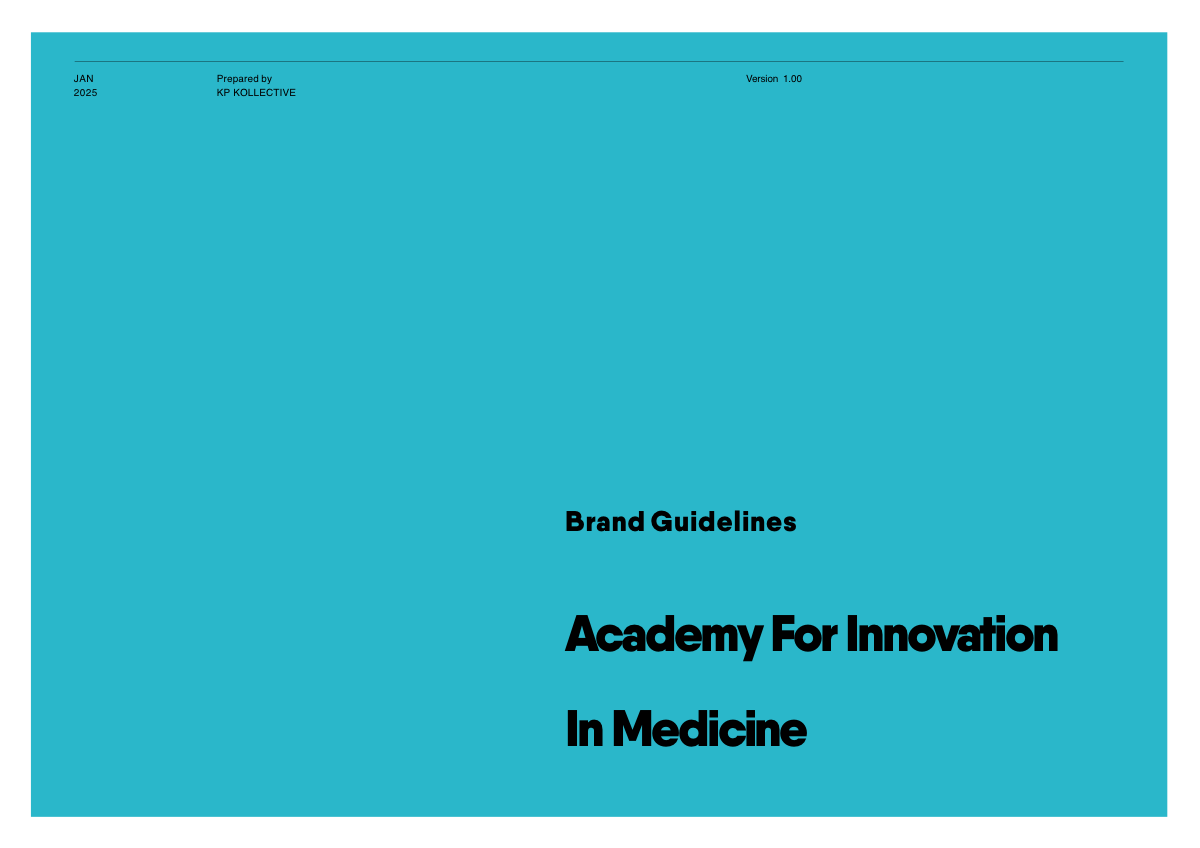 AIM Brand Guidelines preview